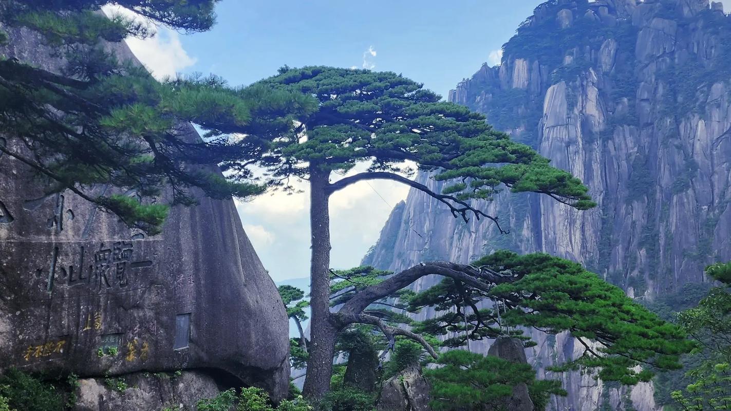 随机风景图